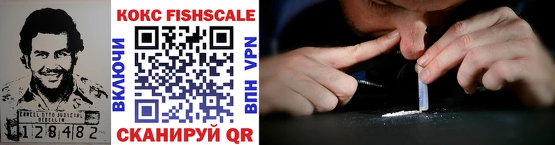 COCAIN Fish Scale  купить наркотик  Алзамай 