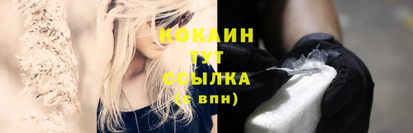 спиды Няндома