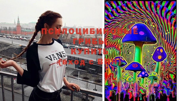 mdpv Алзамай