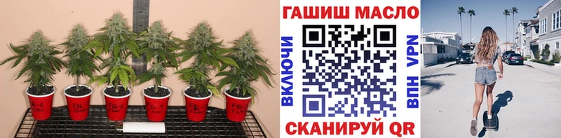 Дистиллят ТГК Wax Алзамай