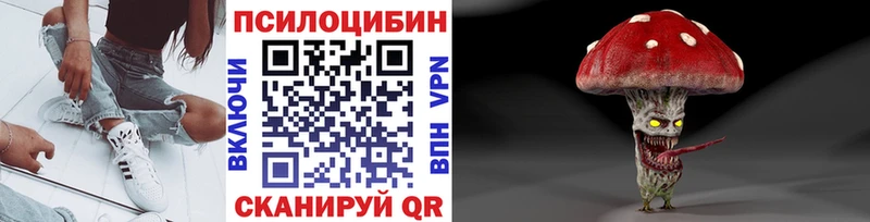 Псилоцибиновые грибы мицелий  цена   Алзамай 